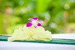 Photo: spa objects spa objects