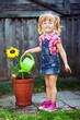Photo: Cute girl watering a sunflower Cute girl watering a sunflower