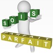 Cubes - 441 - SOIS PARFAIT