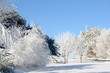 Auvergne sous la neige