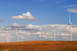 Photo: Wind turbines in the grain fields Wind turbines in the grain fields