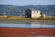 Abandoned house in salt marsh Abandoned house in salt marsh
