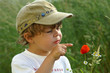 Kleiner Junge mit Blumen Kleiner Junge mit Blumen