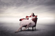 Resting ballerina