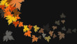 Automne