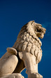 Lion at Budapest fisherman's Bastion