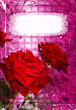 rosen,hintergrund rosen,hintergrund