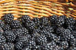 Panier de mûres