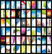 Business Card Big Collection