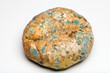 Mould growing on old bread Mould growing on old bread