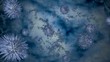 Video: viruses and bacteria viruses and bacteria