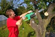 Mechanical saw