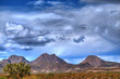 Desert Storm Desert Storm