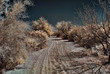 Desert road