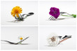Blumen Komposition