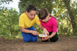 Photo: Bug Hunting in the Woods Bug Hunting in the Woods