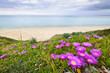 Photo: Aegean sea coast in Greece Aegean sea coast in Greece