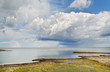 Algaes on the sea coastline. Algaes on the sea coastline.