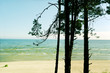 Coastline. Coastline.
