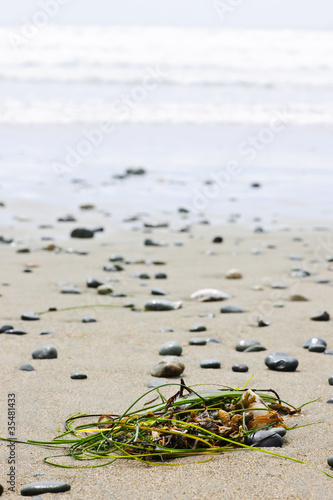 Photo: Beach detail on Pacific ocean coast of Canada Beach detail on Pacific ocean coast of Canada