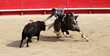 corrida a cheval corrida a cheval