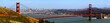 golden gate bridge und skyline