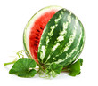 juicy watermelon in cut with green leaf