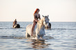 Photo: Swimming with horse Swimming with horse