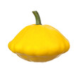 Yellow pattypan Yellow pattypan