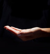 Hand Holding Something