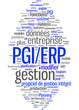 Progiciel de gestion intégré PGI ERP