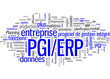 Progiciel de gestion intégré PGI ERP