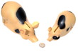 Two pigs have found a coin Two pigs have found a coin