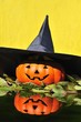 Bruja de Halloween.
