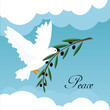 white dove