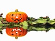 Calabaza de Halloween sobre fondo blanco.
