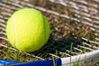 Tennis Ball and Racquet