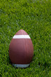 Football on field