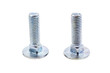 Two metal screws macro isolated on white background Two metal screws macro isolated on white background