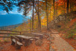 Vivid golden autumn forest at Triglav national park. Slovenia. Vivid golden autumn forest at Triglav national park. Slovenia.
