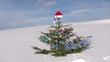 Christmas tree against winter  blue sky