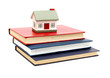 little house and books