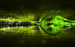 Eye