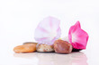 fleur de lierre sur galets