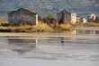 In salt marsh In salt marsh