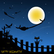 halloween background
