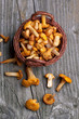 fresh chanterelle mushrooms fresh chanterelle mushrooms