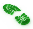 Footprint from grass