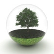 Tree in a crystal ball