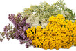 Herbal medicine